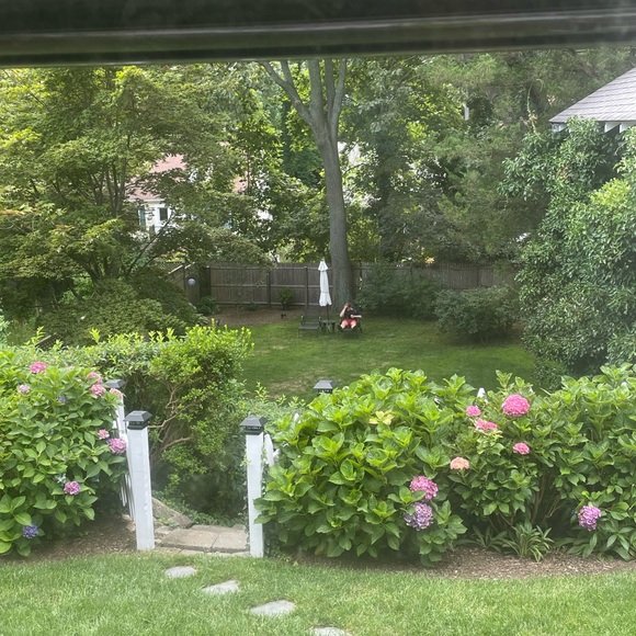 Meet your Posher, Grace - Picture 16 of 16